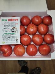 【エリアンサス様】専用　他者様は落札ご遠慮ください