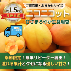 ニコニコット～甘さまろやか生食用杏～【内容量】約1.5kg【配送方法】クール配送【サイズ】当店お任せ【品目】杏（あんず）【品種】当店お任せ【産地】長野県【規格】ご家庭用A品B品混合【詰め方】パック詰め【配送までの日数】1～4日