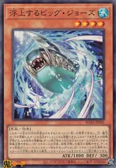 本格構築 シャークデッキ 浮上するビッグジョーズ アビスシャーク バイスシャーク 本格構築 シャークデッキ 浮上するビッグジョーズ アビスシャーク