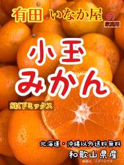 ！数量限定！早い者勝ち！セール！小玉　S以下ミックス　和歌山　有田　ミカン　みかん　家庭用