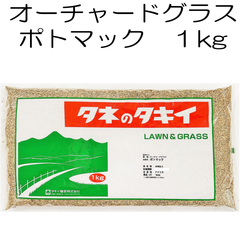 オーチャードグラス種子　ポトマック 1kg　タキイ種苗【種】牧草の種