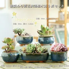 陶磁製窯変わり青古典調植木鉢 5 点セット - 多肉植物・サボテン栽培に最適