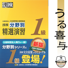 【帯付き・美品】漢検分野別精選演習1級