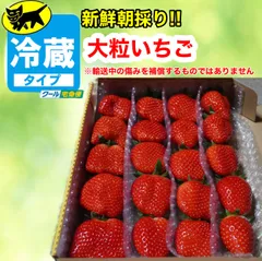 「30日発送」新鮮朝採りかんちゃん農園の甘いいちご 新鮮朝採りかんちゃん農園の甘いいちご