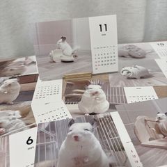 くまおのままお2025年卓上カレンダー