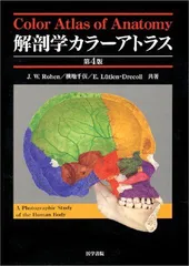 2024年最新】解剖学の人気アイテム - メルカリ