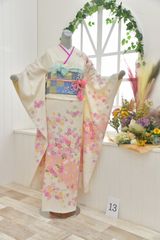 成人式振袖セット（長襦袢，草履なし）蝶と花模様 ⭐︎小柄さんに最終値下げ交渉します r797-f-00.jpg