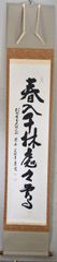 筒井泰道「春入千林処々鶯」 掛軸 茶掛 書 春 掛け軸 共箱