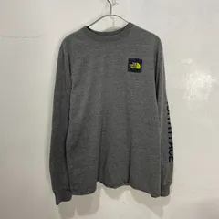 ☆THE NORTH FACE☆長袖Tシャツ☆グレー☆ワンポイントロゴ☆M☆バックプリント☆袖プリ☆E23M