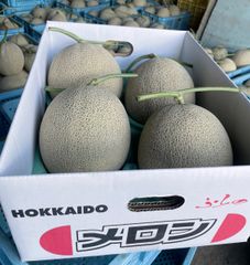 北海道産 ハナイグチ 約500g クール便＊送料無料 - メルカリ