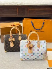【今日特価】Louis Vuitton Speedy 25 ピローバッグ（Retiro デザイン）