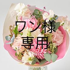 BH3000>> 紅ハルカ 平干しバラ詰め 3000g 茨城県産 国産無添加 産地