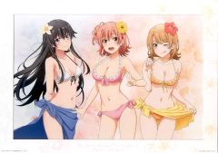 [중고] 잡화 나 가일 프레임 첨부 일러스트 보드 [이치 반 쿠지 역시 내 청춘 러브 쌀은 틀렸다. 완] 마지막 원상