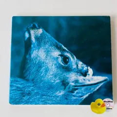 邦楽 toe - The Book About My Idle Plot On A ~ toe / The Book About My Idle Plot On A Vague Anxiety Grey