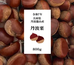 数量限定❗️「丹波栗」約８００g（送料込み）令和７年兵庫県丹波篠山産