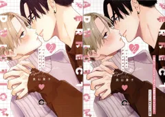 海王社 ガッシュコミックス 美山薫子 パーフェクトアディクション アニメイト限定12P小冊子付 2