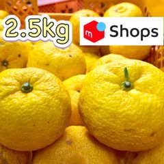 【農家直送】柚子 2.5kg
