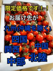 お届け先限定！熊本県産ミニトマト千果４ｋｇ限定価格！送料込み！