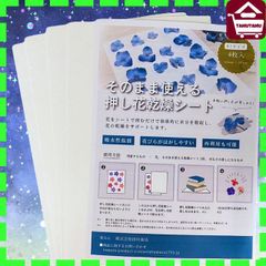 そのまま使える押し花乾燥シート　Ｂ5サイズ４枚　吸水性のあるシートに花を挟むだけで押し花が完成