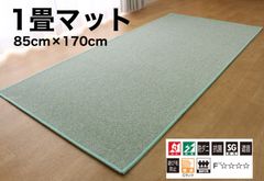 【防炎・防ダニ・防汚・抗菌・制電】1畳ラグマット　85cm×170cm　アースグリーン　1枚入り