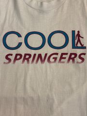 90s  シングルステッチ  COOL SPRINGERS 　フルーツオブザルーム　スクリーンスターズ　XL　ヴィンテージ 　Tシャツ