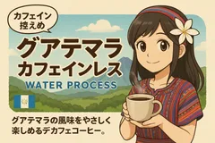 【100g】カフェインレス　グァテマラ　ウォータープロセス　自家焙煎珈琲　コーヒー豆のサムネイル