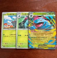 フシギダネ　フシギソウ　メガフシギバナex 進化ライン　まとめ売り