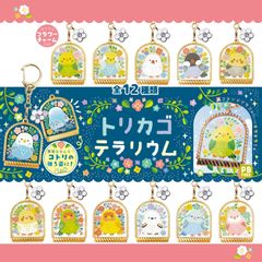 トリカゴテラリウム3種類 ことりランダム詰め合わせ 【公式】サザン・DS