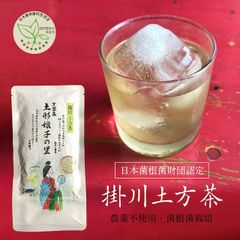 静岡掛川深蒸し茶　カテキン　20年間農薬化学肥料不使用　100g入