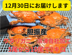 【12月30日お届け】訳ありワタリガニ5～10尾で2㎏ボイル冷凍品