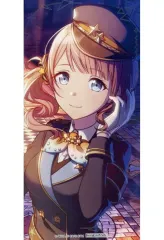 【中古】キャラカード 望月穂波 箔押しイラストカード 「プロジェクトセカイ カラフルステージ! feat. 初音ミク 4.5周年記念フェア in アニメイト」 アニメイト対象商品購入特典