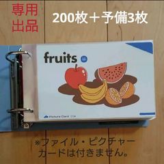 ◎最安値出品! ペッピーキッズ ピクチャーカード 収納袋 背表紙&リフィル ペッピーキッズクラブ ピクチャーカード収納袋(リフィル) 約406