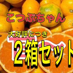 和歌山産　小粒みかん　3kg 2箱セット