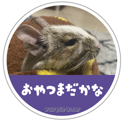 送料無料　Degu　デグー「デグー　おやつまだかな　ステッカー」（約６０ｍｍ×約６０ｍｍ）