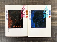 天の瞳　幼年編（Ⅰ・Ⅱ）【文庫本2冊セット】灰谷健次郎