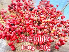 夢農場　完熟　実山椒　小枝付き　100g ＋20gおまけ