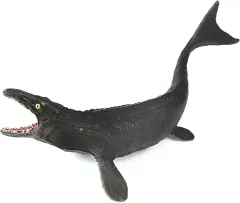 2025年最新】海棲爬虫類の人気アイテム - メルカリ