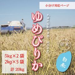 新米ゆめぴりか　白米5kg2袋　2kg5袋　お米20kg お米　米　小分け対応