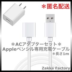 ＊ACアダプターセット＊ アップルペンシル Apple pencil 充電 ケーブル 第一世代用 / Appleペンシル アップルPencil アップル ペンシル  第1世代用 充電ケーブル 充電器