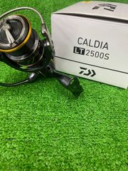 21カルディアLT2500S