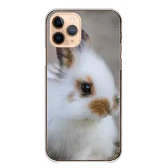 Google Pixel 10/10Pro ケース カバー グーグルピクセル10/10プロ スマホケース ハードケース うさぎ ウサギ 兎 ラビット 子兎 野ウサギ かわいい 可愛い 写真 カメラマン カラー09