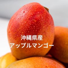 1Kg【出品再開しました】【タイムセール】沖縄県産　1キロ　2〜3玉入り　アップルマンゴー　訳あり　※早い者勝ち【送料無料】 国産 マンゴー 新鮮直送　沖縄　果物　お買い得！！　沖縄県産　太陽の果実　　フルーツ　南国果物　完熟マンゴー　マンゴー