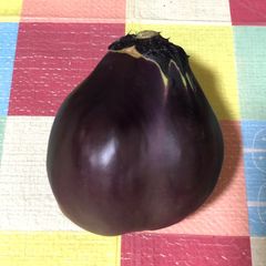 【B品】なにわの伝統野菜 鳥飼茄子 1kg ⭐︎栽培期間中、農薬化学肥料不使用