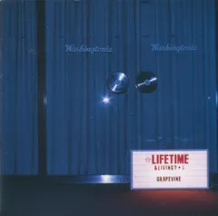 【未開封】GRAPEVINE / ALL THE LIGHT アナログ盤 新品未開封】GRAPEVINE『ALL THE LIGHT』アナログLP