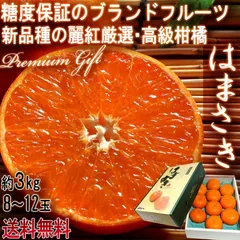はまさき 麗紅 約3kg 8～12玉 佐賀県産 秀品 JAからつ 贈答最適 化粧箱入り 味わい抜群の高級柑橘！糖度12.5度保証のブランドフルーツ