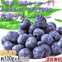 完熟ブルーベリー 約100g×4パック 千葉県産 贈答規格 JA共撰品 風味と味わい豊かな生の果実！全国屈指の産地で育てた美味しい旬のフルーツ