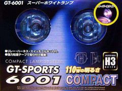 GT-6001 スーパーホワイトランプ （フォグランプ）ミラリード　110Wクラスの明るさ
