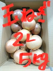 北海道産   たまねぎ     2L 5kg