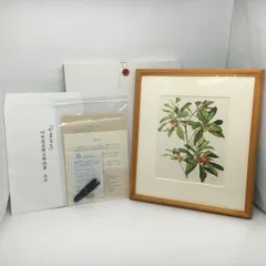 本物保証HOT】 ヤフオク! - 小磯良平 いぬさふらん 薬用植物画 版上