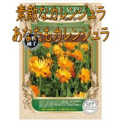 【ポスト投函便】グリーンフィールドプロジェクト　ｶﾚﾝｼﾞｭﾗ 　【有機種子・固定種】　ハーブ　春秋